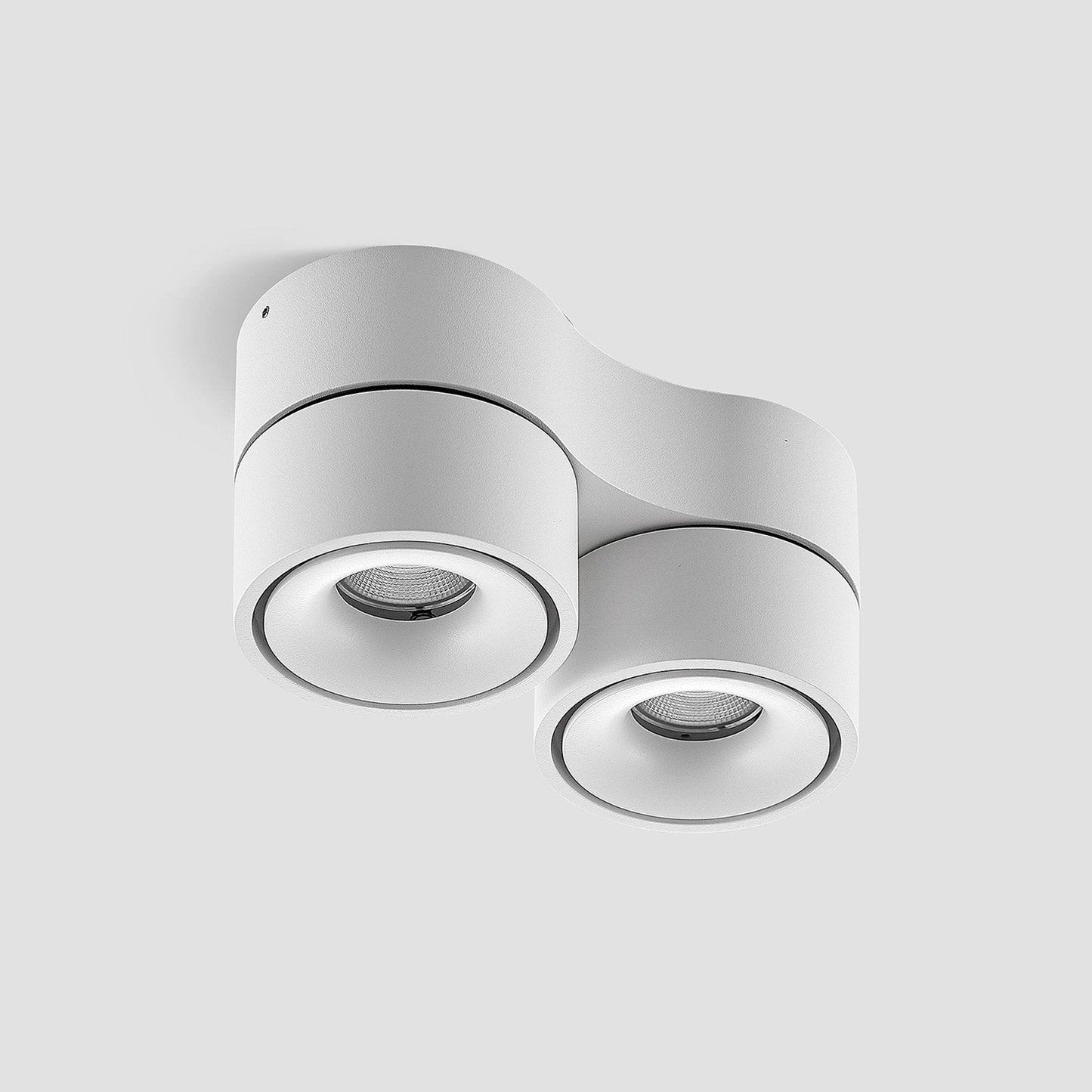Ceiling Light with Dual Adjustable Spotlights