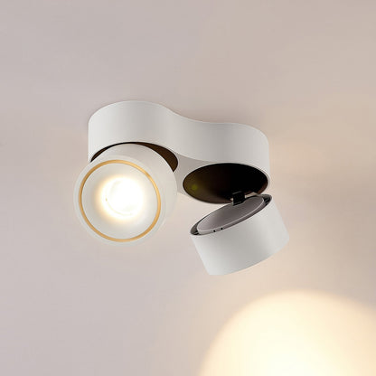 Ceiling Light with Dual Adjustable Spotlights