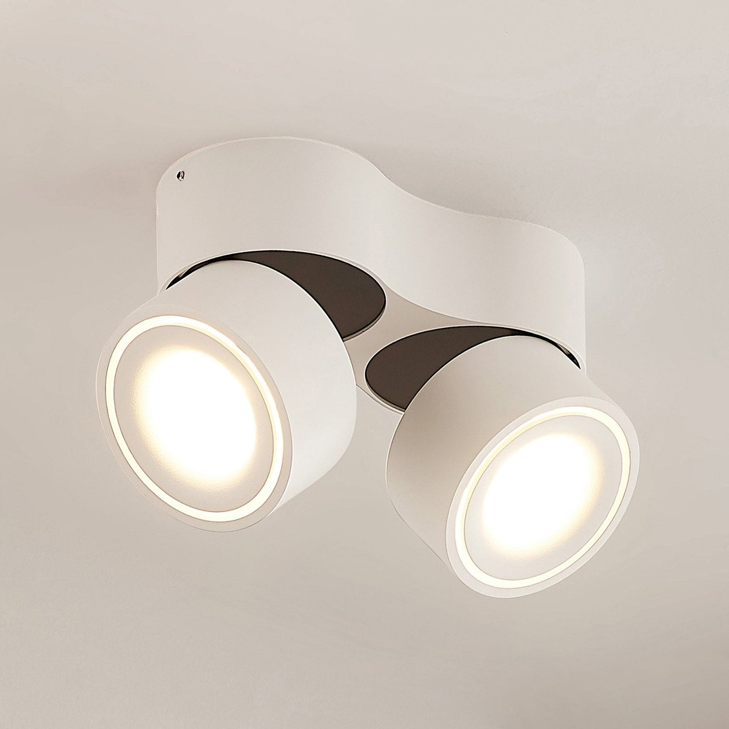 Ceiling Light with Dual Adjustable Spotlights