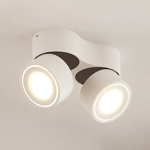 Ceiling Light with Dual Adjustable Spotlights