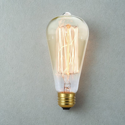 Vintage Edison Bulb Decorative Dimmable Lights