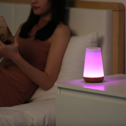Touch Control LED Bedside Table Lamp