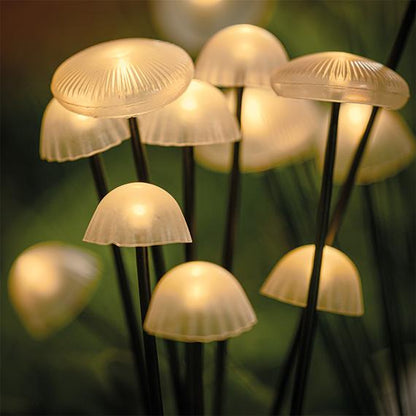 Garden Lights Solar Mushroom Outdoor Set